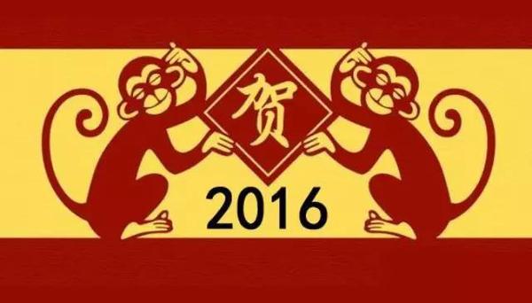 2016猴年进步